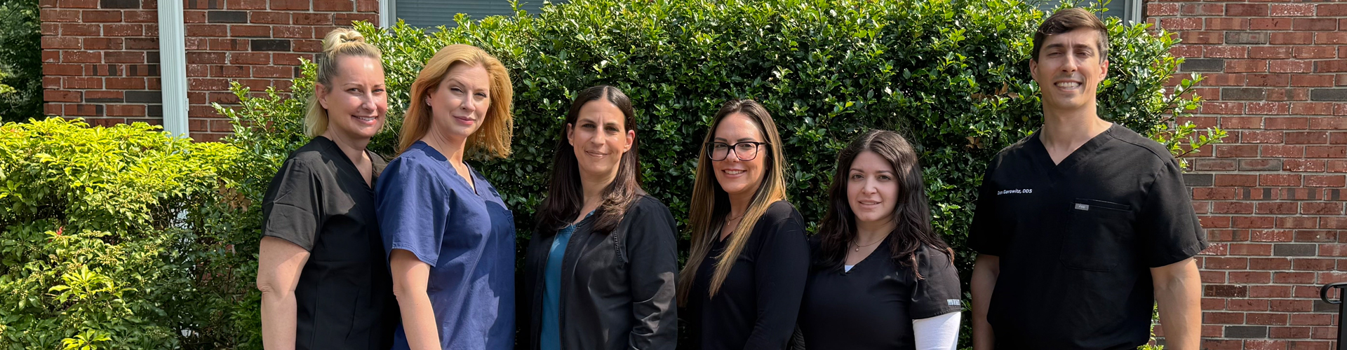 Meet the Team